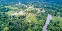 Ngaga Camp, Odzala National Park, Republic of Congo