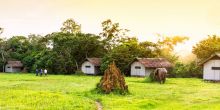 Mboko Camp, Odzala National Park, Republic of Congo