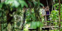 Mboko Camp, Odzala National Park, Republic of Congo