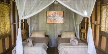 Mboko Camp, Odzala National Park, Republic of Congo