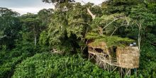 Ngaga Camp, Odzala National Park, Republic of Congo