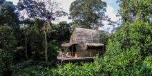 Ngaga Camp, Odzala National Park, Republic of Congo