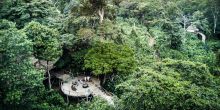 Ngaga Camp, Odzala National Park, Republic of Congo