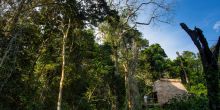 Ngaga Camp, Odzala National Park, Republic of Congo
