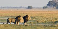 Botswana Adventurer Safari