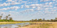 Botswana Adventurer Safari