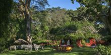 Olerai House