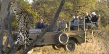 Okonjima Luxury Bush Lodge, Okonjima, Namibia