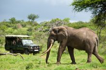 Ol Donyo Wuas, Chyulu Hills, Kenya