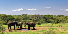 Ol Donyo Wuas, Chyulu Hills, Kenya