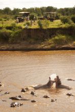 Olakira Tented Camp, Serengeti National Park, Tanzania