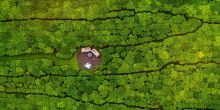 Nyungwe House, Nyungwe Forest, Rwanda