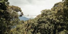 Nyungwe House, Nyungwe Forest, Rwanda