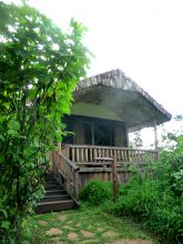 Cabin exterior at Engagi Lodge, Bwindi Impenetrable Forest, Uganda (Mango Staff photo)