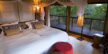 Pafuri Camp, Kruger National Park, South Africa Â© Dana Allen