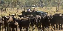 Pafuri Camp, Kruger National Park, South Africa Â© Dana Allen