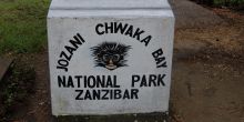 Jozani Forest Reserve Tour