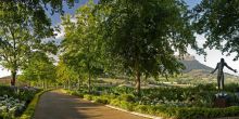 Guests are greeted by a beautiful drive up to the hotel at Delaire Graff, Stellenbosch, South Africa