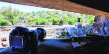 Tuningi Safari Lodge