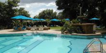 take a swim at the Impala Hotel