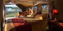 Lions Paw tented room