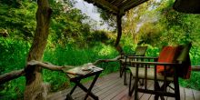 Royal Tree Lodge, Maun, Botswana