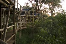 Rhino Walking Safaris - Sleep Out