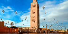Riad Nashira