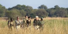 Robin Pope Walking Safari