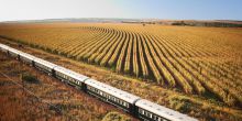 Train traveling through a field