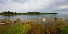 View from the forest walk at Rubondo Island Camp, Lake Victoria, Tanzania