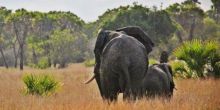 Saandani Safari Lodge, Saandani National Park, Tanzania