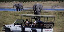 Savute Safari Lodge  - safari drive