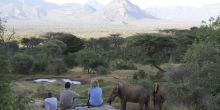 Sarara Star Camp
