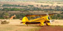 Lewa Scenic Biplane Tour, Lewa Conservancy, Kenya