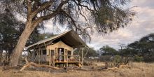 Somalisa Expeditions Camp