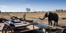 Somalisa Expeditions Camp
