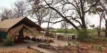 Selinda Explorers Camp