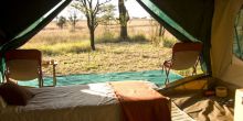The tents are simple but comfortable at Serengeti Wilderness Camp, Serengeti NCCA, Tanzania