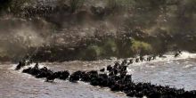 Serengeti Migration Camp, Serengeti National Park, Tanzania