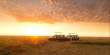 Serengeti Safari Camp  North - Drive