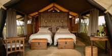 Serengeti Safari Camp  North - Twin Tented Room