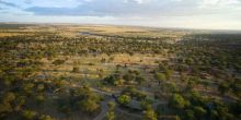 Serian Serengeti Lamai