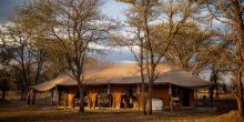 Serian Serengeti Lamai