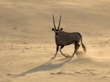 Serra Cafema, Hartmans Valley, Namibia Â© Dana Allen