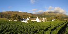 The Steenberg Hotel