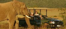 Shamwari Bayethe Tented Lodge, Shamwari Game Lodge, South Africa