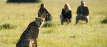 Shamwari Bayethe Tented Lodge, Shamwari Game Lodge, South Africa