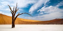 Sossusvlei Dune Excursion, Sossusvlei, Namibia