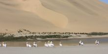 Sandwich Harbour 